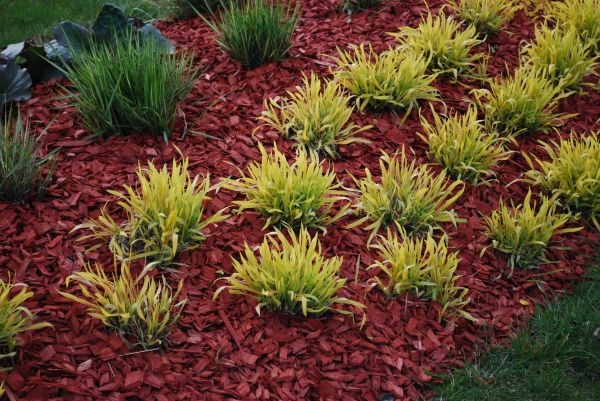 Red Mulch Installation in Leander