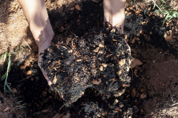 Organic Mulch Installation in Leander