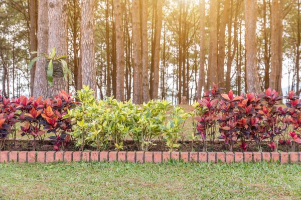 Small Garden Landscaping in Leander