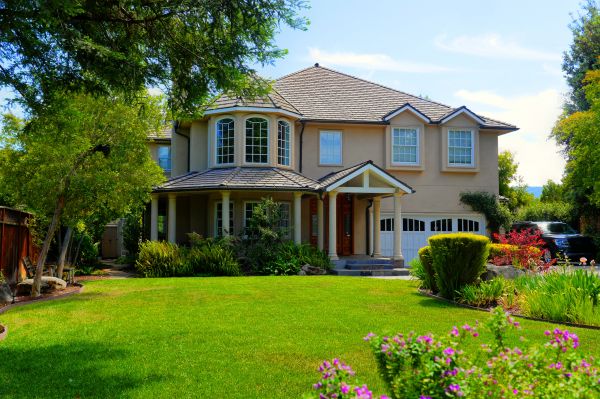 Large Yard Landscaping in Leander
