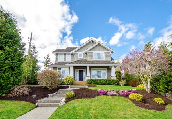 Landscaping Replacement in Leander