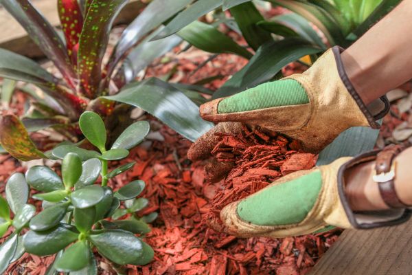 Residential Mulching in Leander