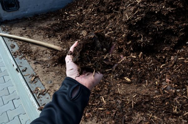 Condo Mulching in Leander