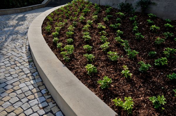 Commercial Mulching in Leander