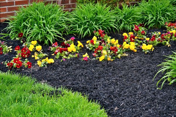 Apartment Mulching in Leander