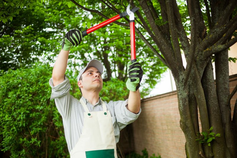 Tree and Shrub Specialists